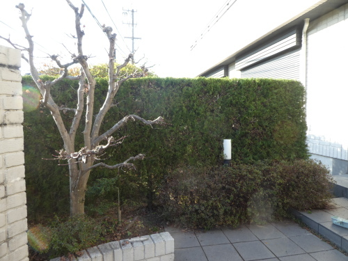 c0108198_16152702.jpg