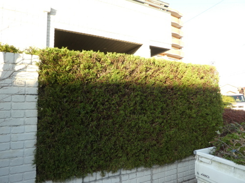 c0108198_16155436.jpg