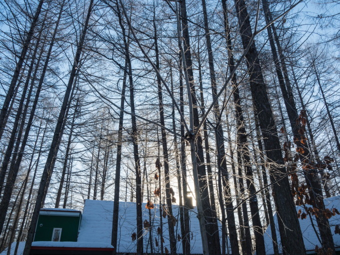 f0276498_22474428.jpg