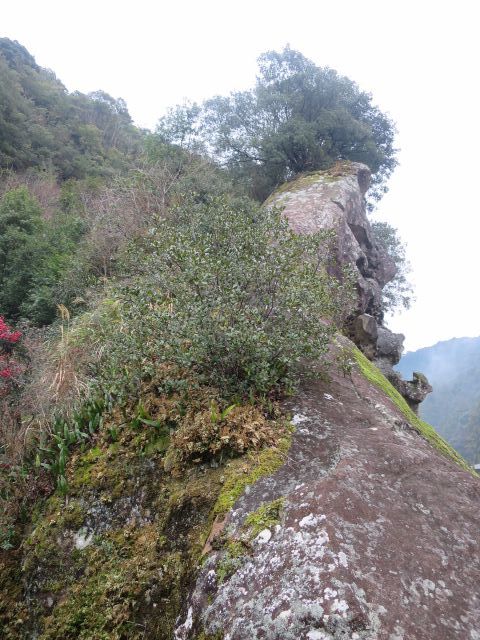d0360104_17140678.jpg