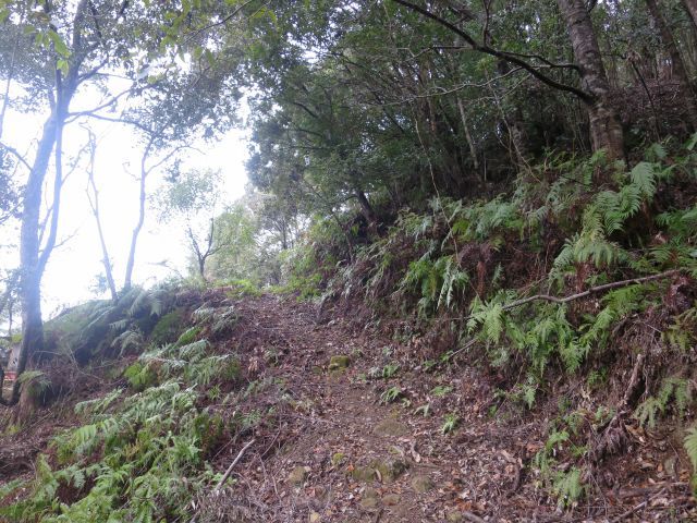 d0360104_17150737.jpg