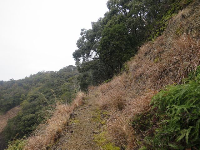 d0360104_17151832.jpg