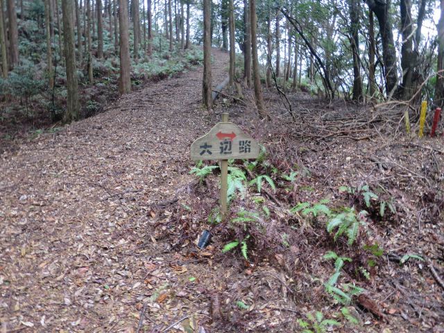 d0360104_17153177.jpg