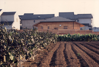 c0195909_11592547.jpg