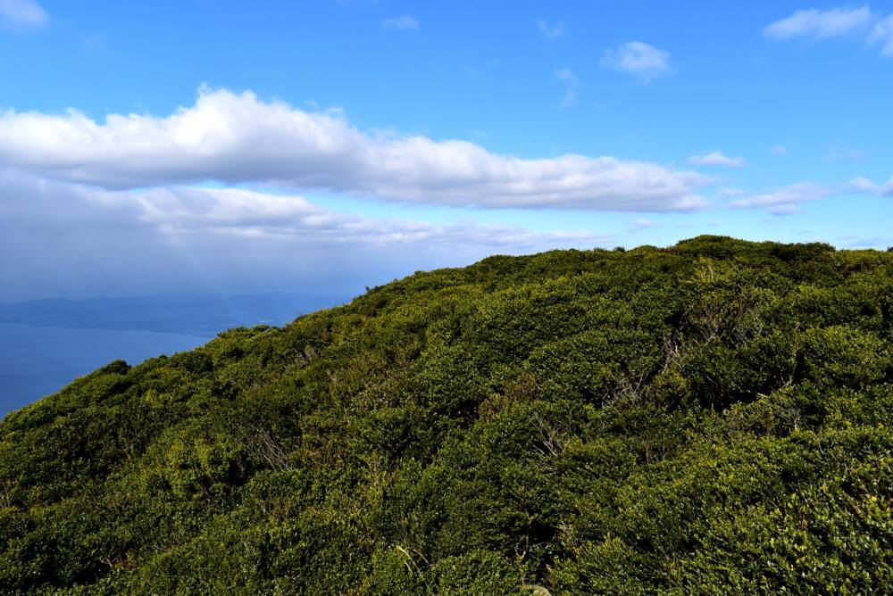 f0212511_22041135.jpg