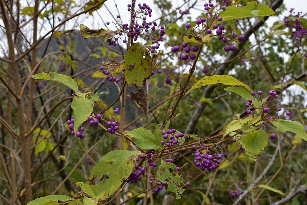 f0212511_22044770.jpg