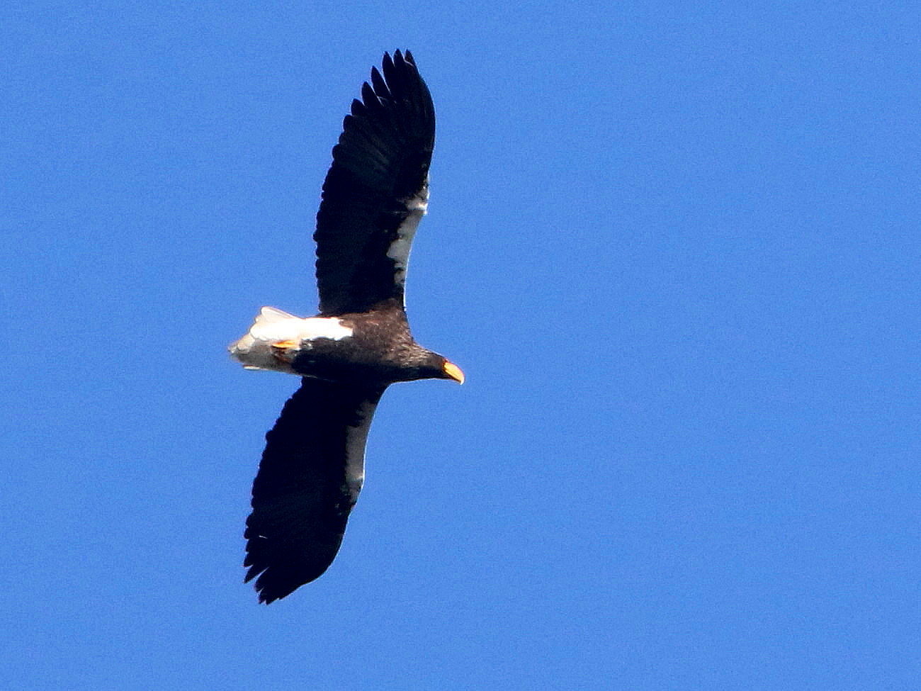 d0346713_20195408.jpg