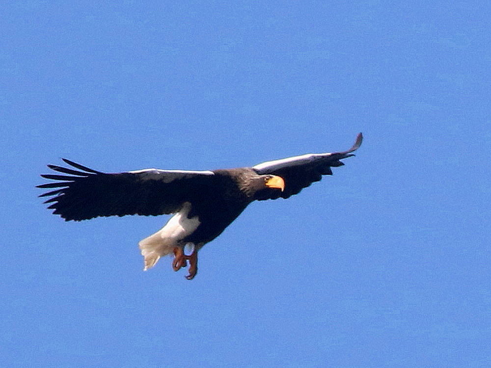 d0346713_20213662.jpg