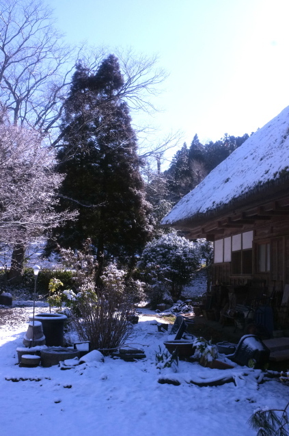 【今シーズン初の雪】_c0308431_10223796.jpg