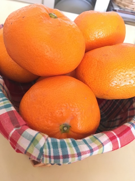 c0221732_00051991.jpeg