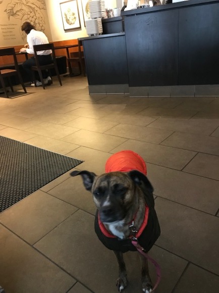 d0269832_09143394.jpeg
