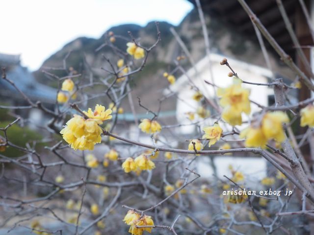八栗寺参拝２０１９～♫_f0295238_14570089.jpg