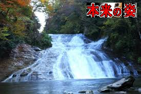 c0119160_07273360.png