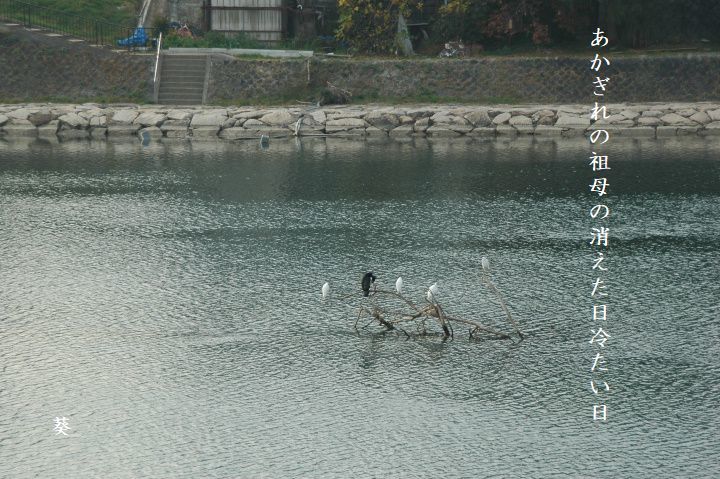 f0379160_16373288.jpg