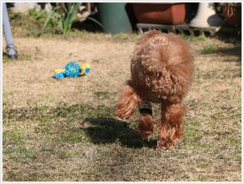 b0175688_23512156.gif