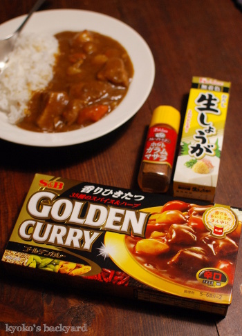 ねんどぶさんちの生姜たっぷりカレー。2日目はローストカリフラワー&ゆで卵トッピング付きで_b0253205_03312701.jpg