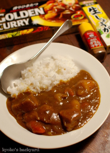ねんどぶさんちの生姜たっぷりカレー。2日目はローストカリフラワー&ゆで卵トッピング付きで_b0253205_03313807.jpg