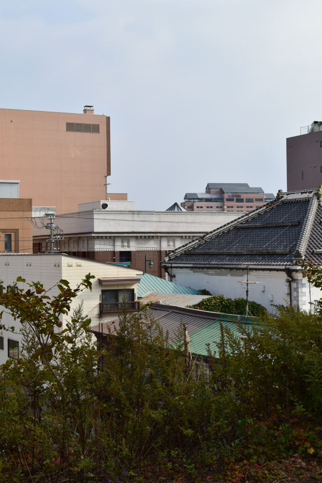 函館末広町の旧金森洋物店(函館の建築再見)_f0142606_08481768.jpg