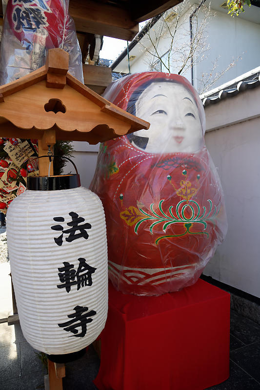 節分祭＠法輪寺（だるま寺）_f0032011_19020419.jpg