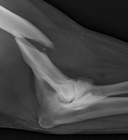 a0151913_352088.jpg