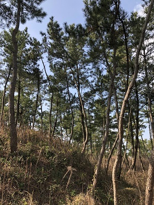f0371014_22543224.jpg