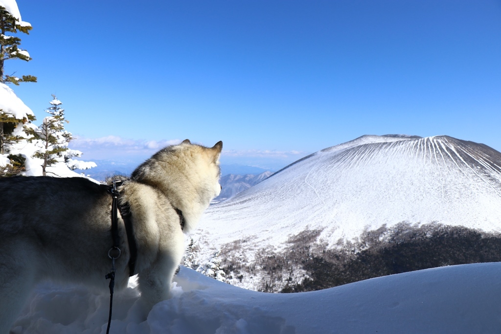 b0207615_21131351.jpg