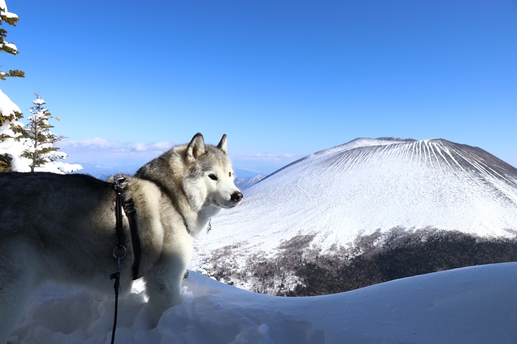 b0207615_21131630.jpg