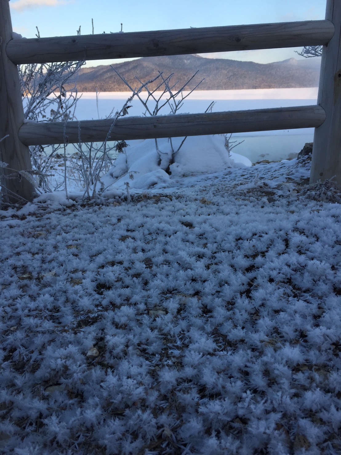 a0174419_09510966.jpeg