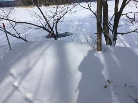 a0174419_09565651.jpeg
