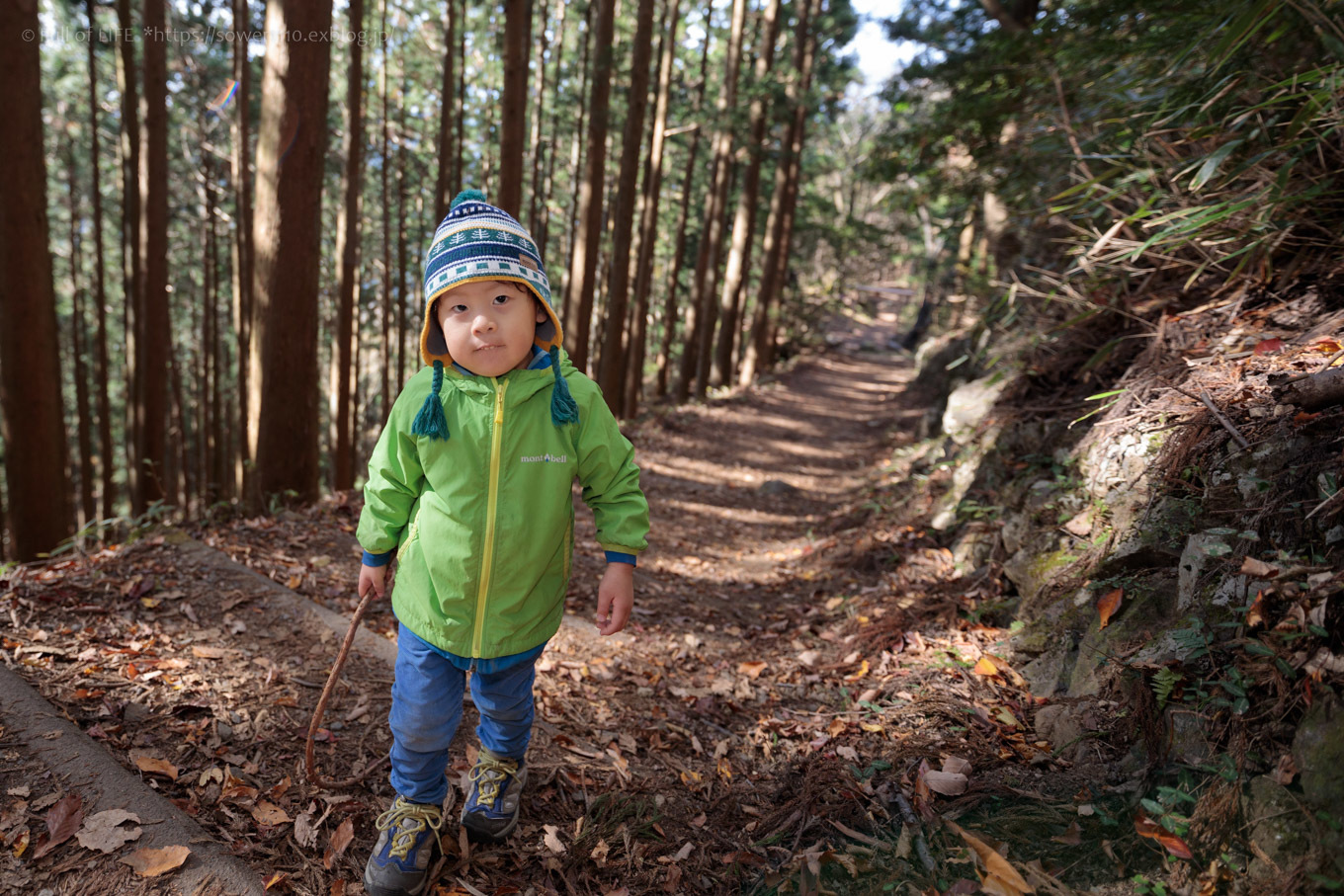 天空のもみじの山へ「御岳山～日の出山」日の出山_c0369219_12441977.jpg