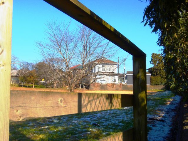 a0166324_19330227.jpg