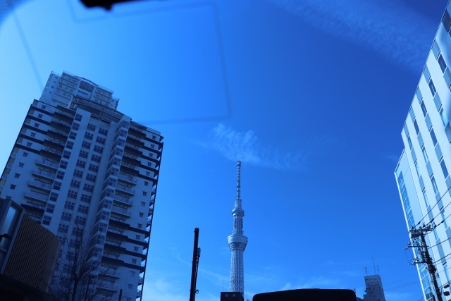 a0214329_15263023.jpg
