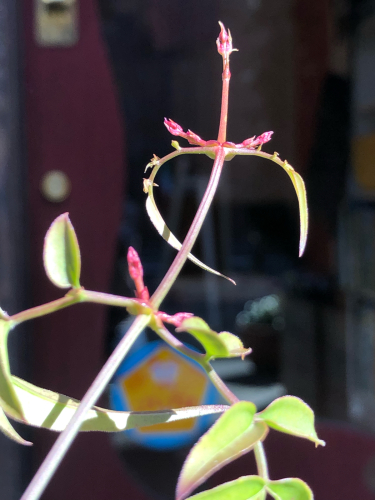f0327534_11092764.jpg