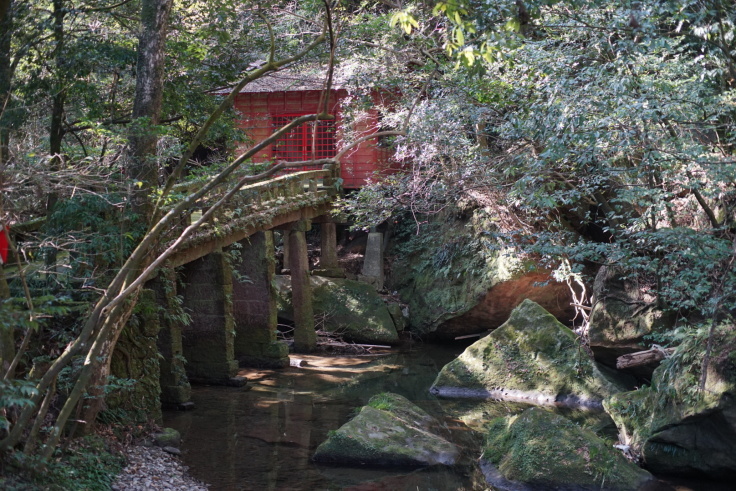 フルサイズの帰還_b0060239_20261487.jpeg