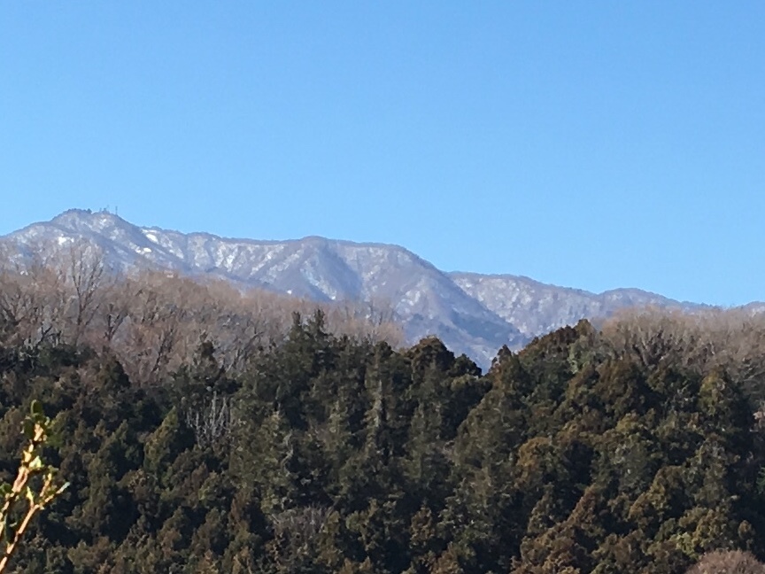 b0330040_16195094.jpeg