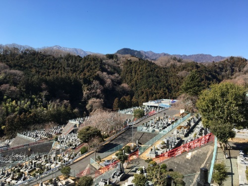 b0330040_16271792.jpeg