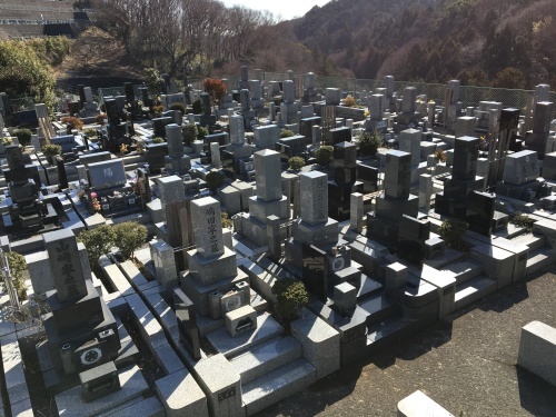 b0330040_16282738.jpeg