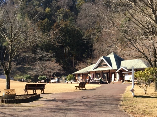 b0330040_16305178.jpeg