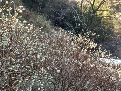 b0330040_16381915.jpeg
