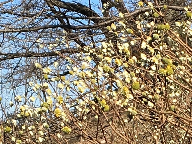 b0330040_16390327.jpeg