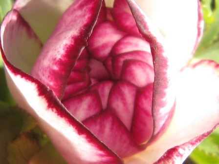 c0025140_00243339.jpg
