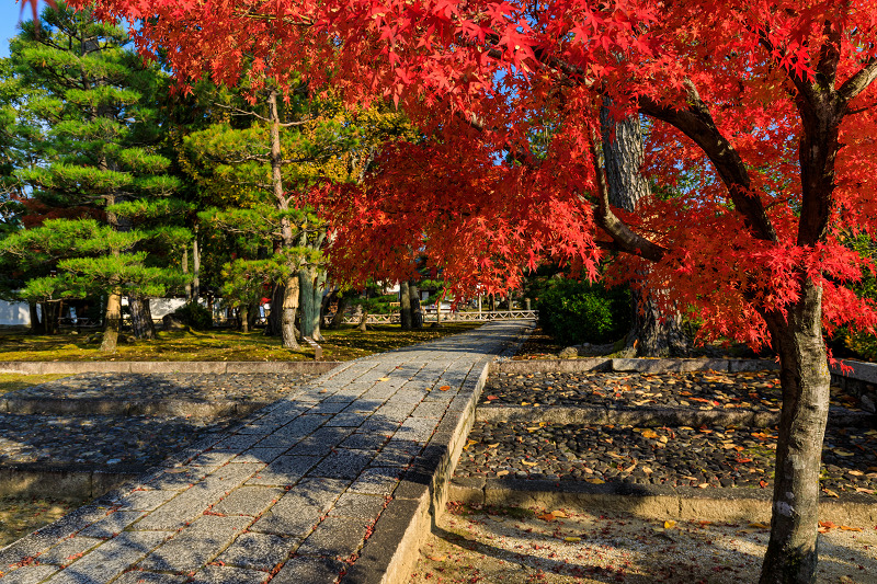 紅葉☆ 京の紅葉2018 智積院・秋色 : 花景色－K.W.C. PhotoBlog