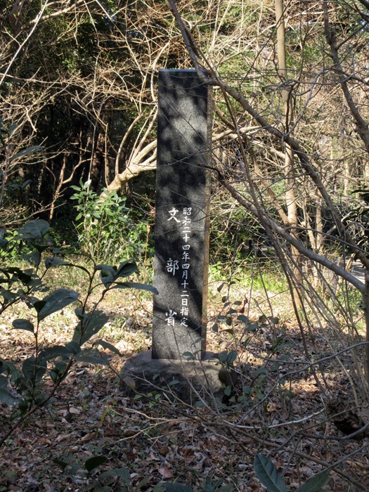 【白金台】国立科学博物館附属自然教育園【冬枯れ】_b0009849_15373483.jpg