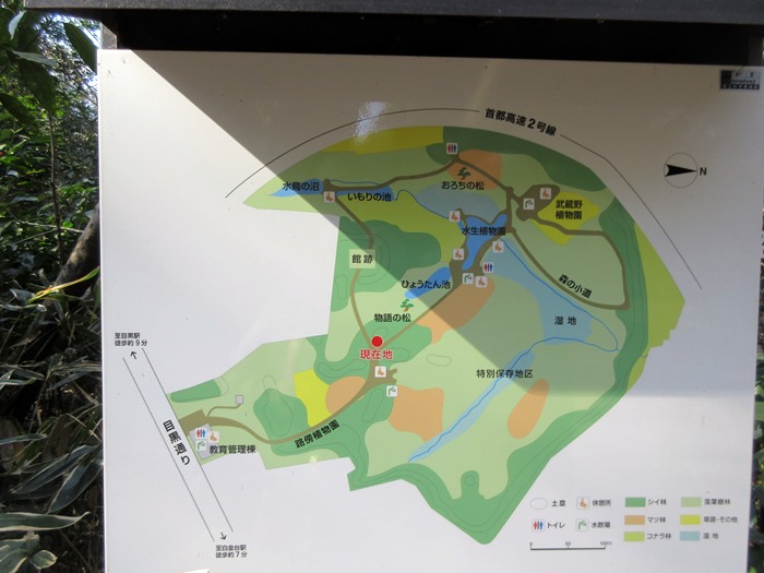【白金台】国立科学博物館附属自然教育園【冬枯れ】_b0009849_15401865.jpg