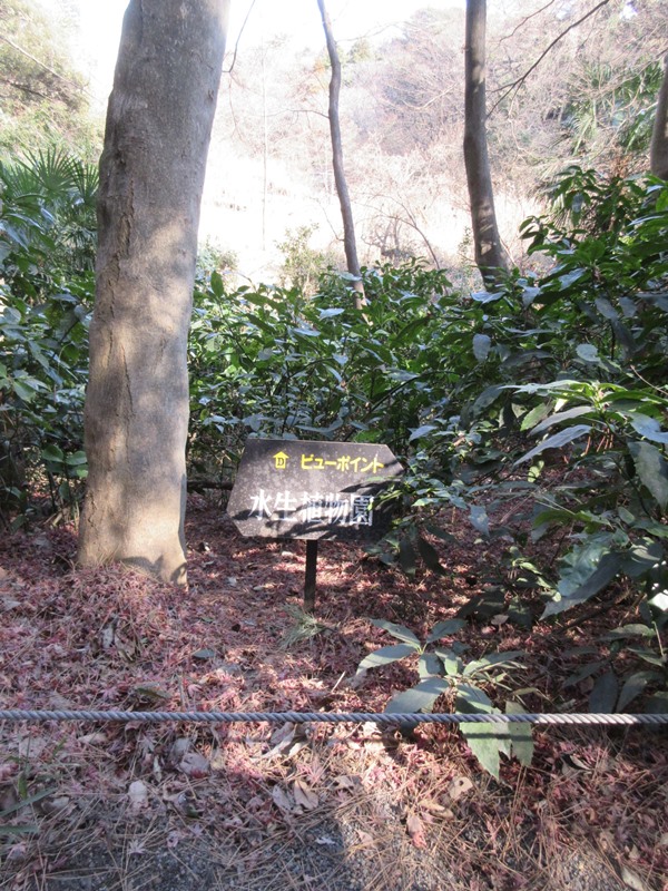【白金台】国立科学博物館附属自然教育園【冬枯れ】_b0009849_15442726.jpg
