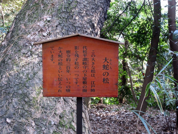 【白金台】国立科学博物館附属自然教育園【冬枯れ】_b0009849_15445256.jpg