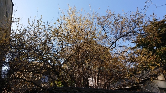 c0328559_16201007.jpg