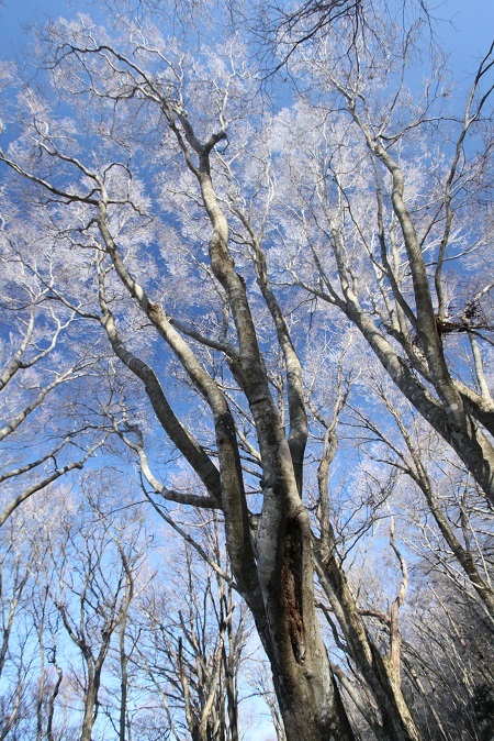 e0304170_21065751.jpg