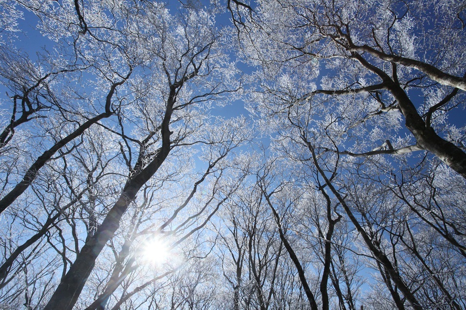 e0304170_21073677.jpg
