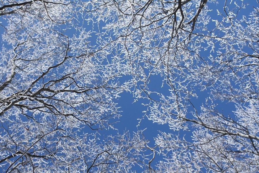 e0304170_21082379.jpg